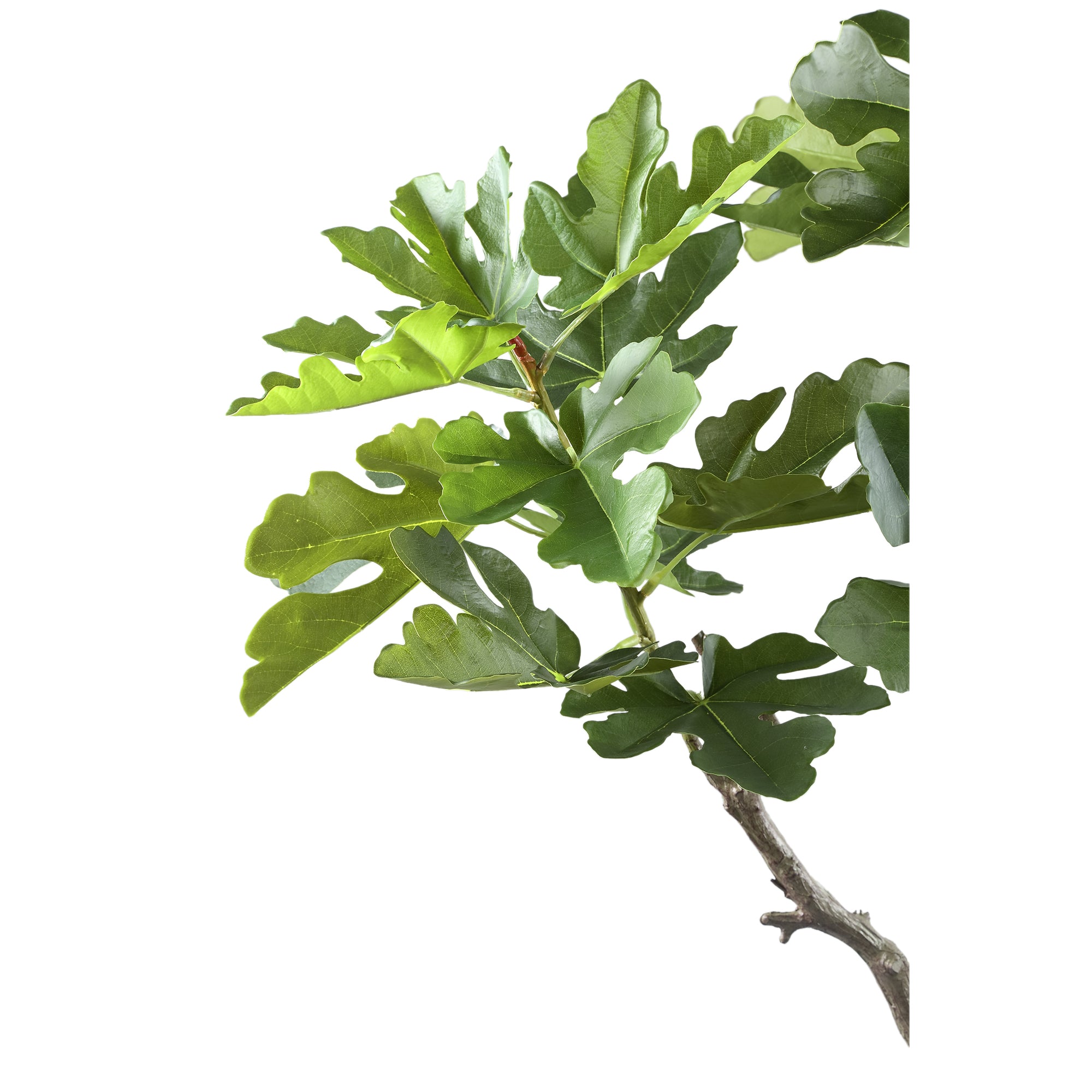 PTMD - Kunstplant Tree - Groen - 96x100x122cm