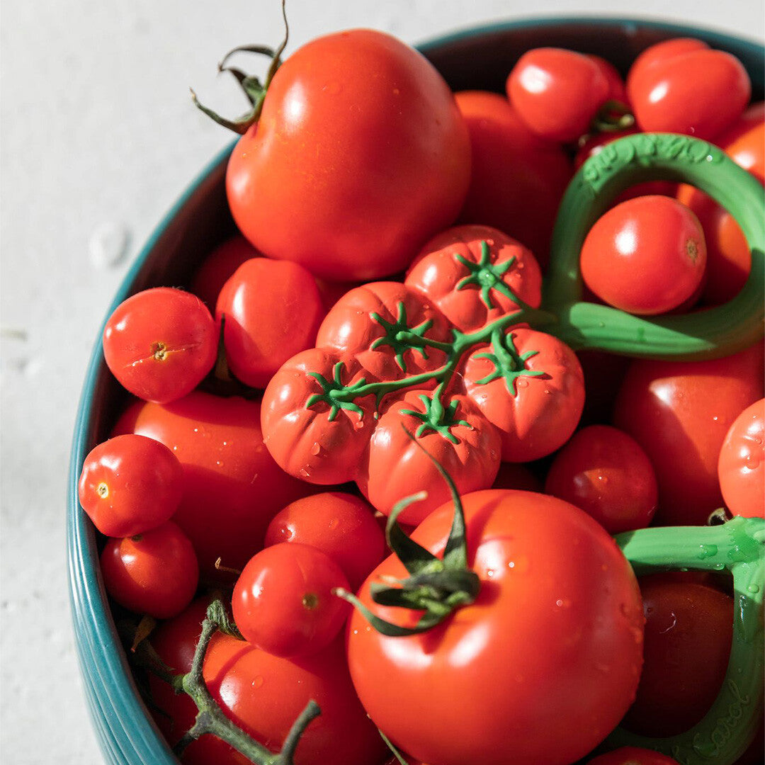 Oli & carol rammelaar tomaten