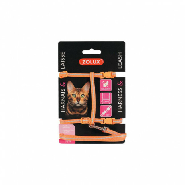 Kit sellerie réfléchissant pour chat - Laisse 1,20 m et harnais réglable
