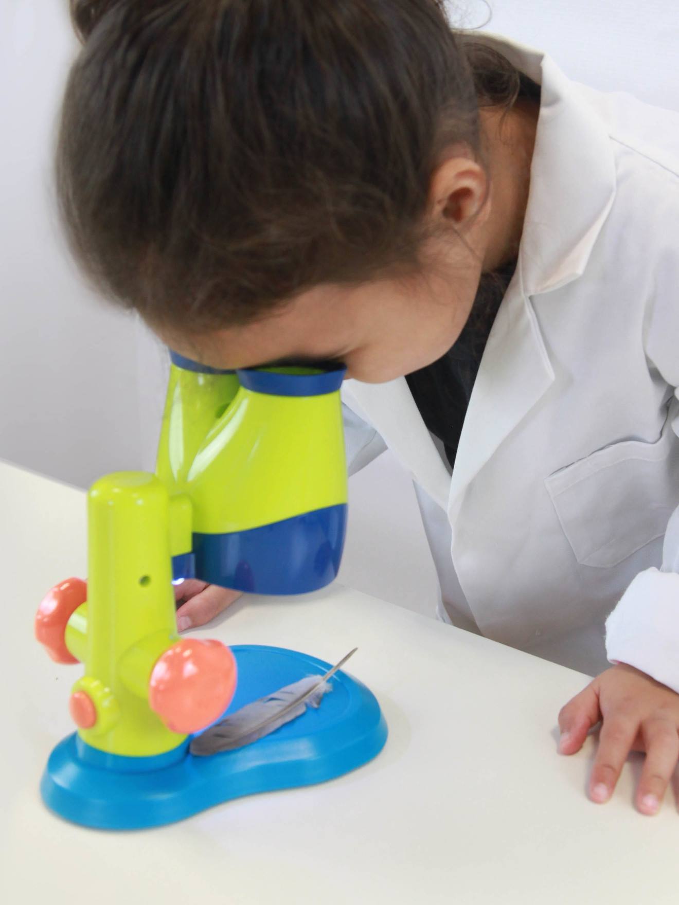 Mini Ciências