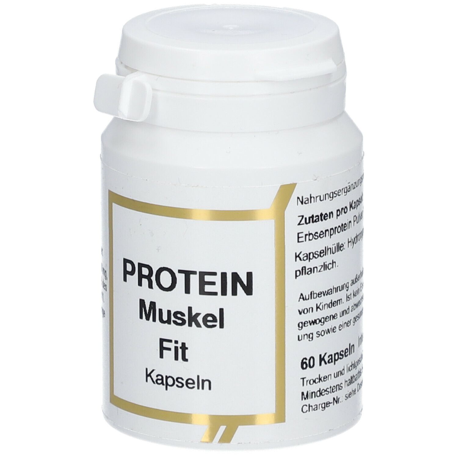 Protein Muskel Fit