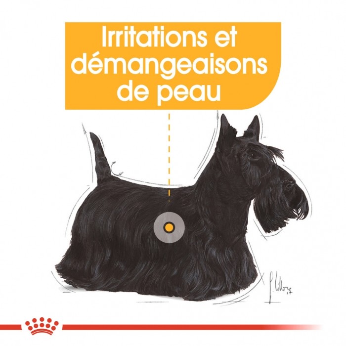 Royal Canin Mini Dermaconfort - Croquettes pour chien