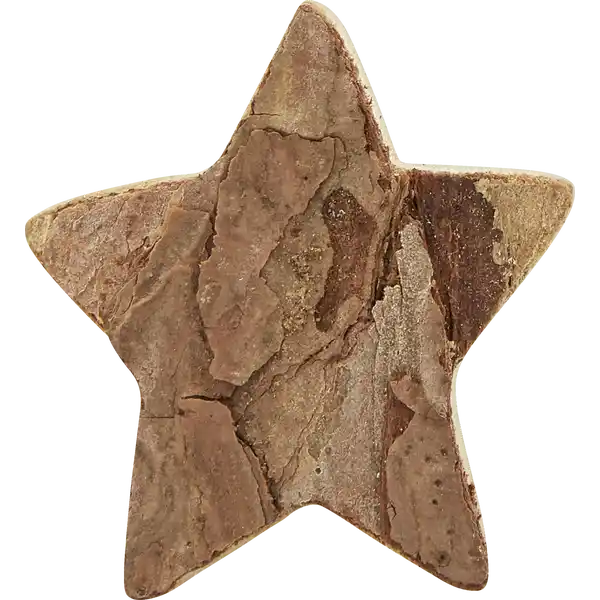 Streu Sterne /  Tannen Natur