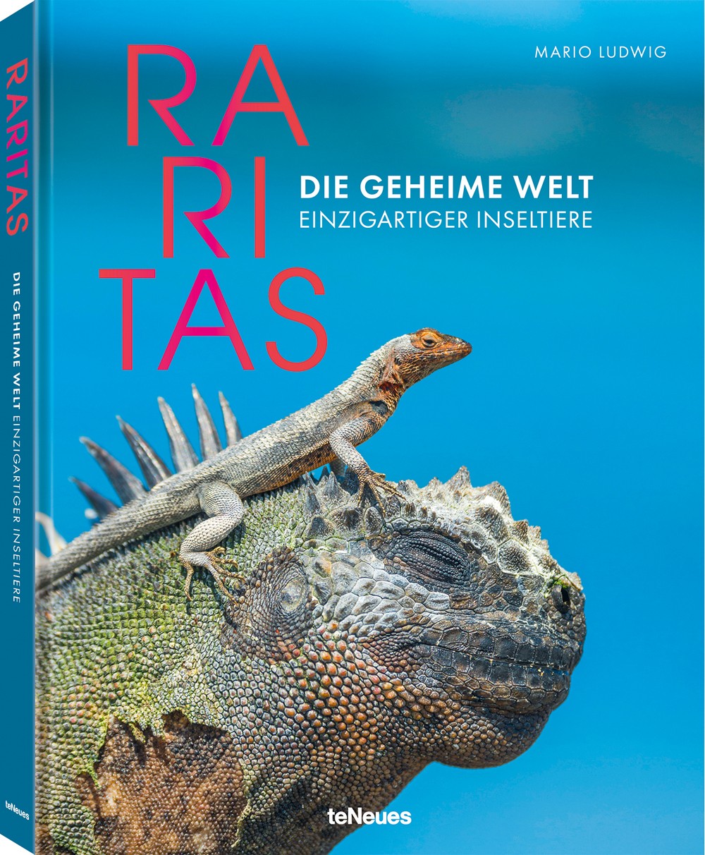Buch 'Raritas' günstig bestellen