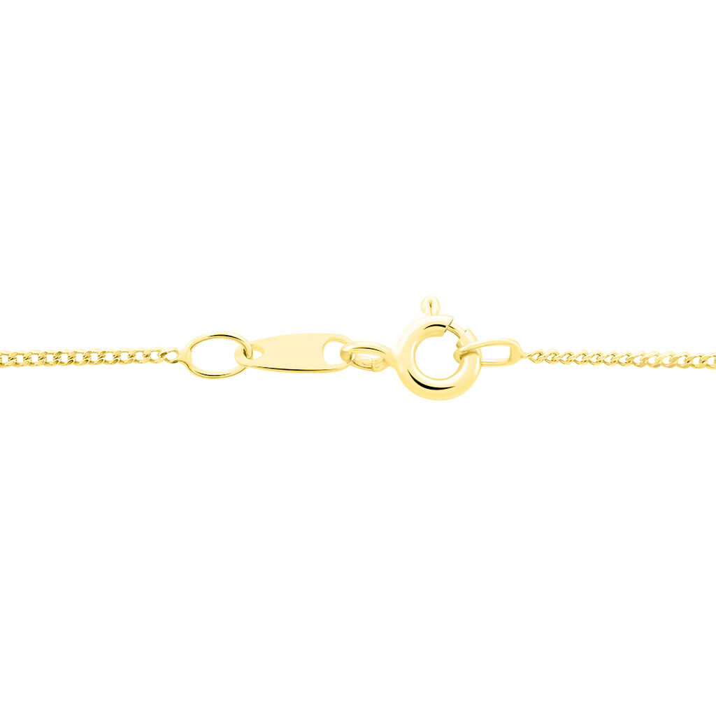 Chaîne Igoa Maille Forçat Diamantee Or Jaune