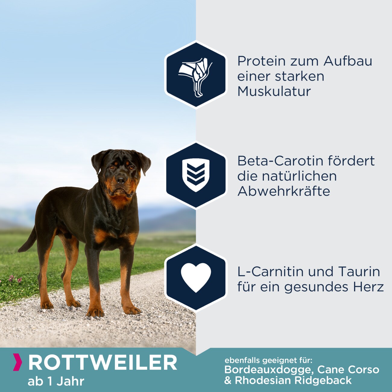 EUKANUBA Trockenfutter Hund Breed Specific Rottweiler Adult 12 kg
