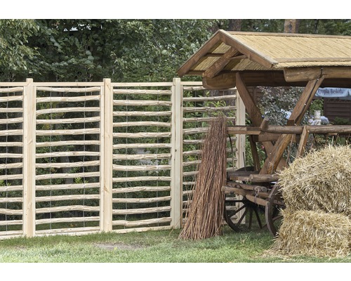 Gedeeltelijk element hazelnoot, halfopen, geschild, halfrond, 90 x 180 cm