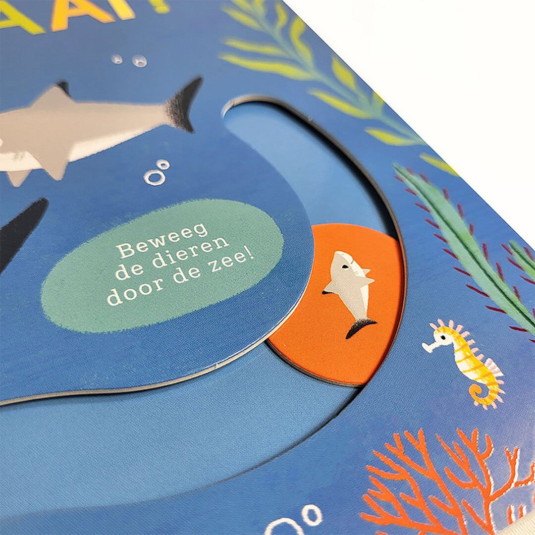 Gottmer kartonboek kom je thuis, kleine haai?