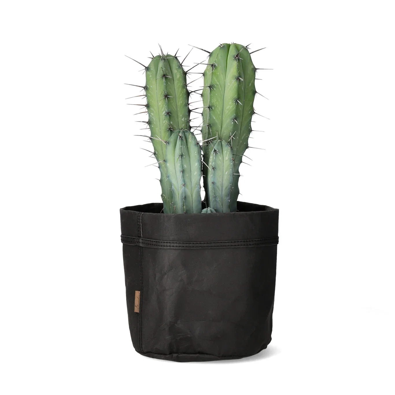 Potte Gael Ø20 cm