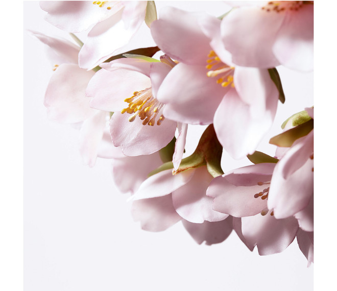 Shiseido White Lucent Illuminating Micro-Spot Serum