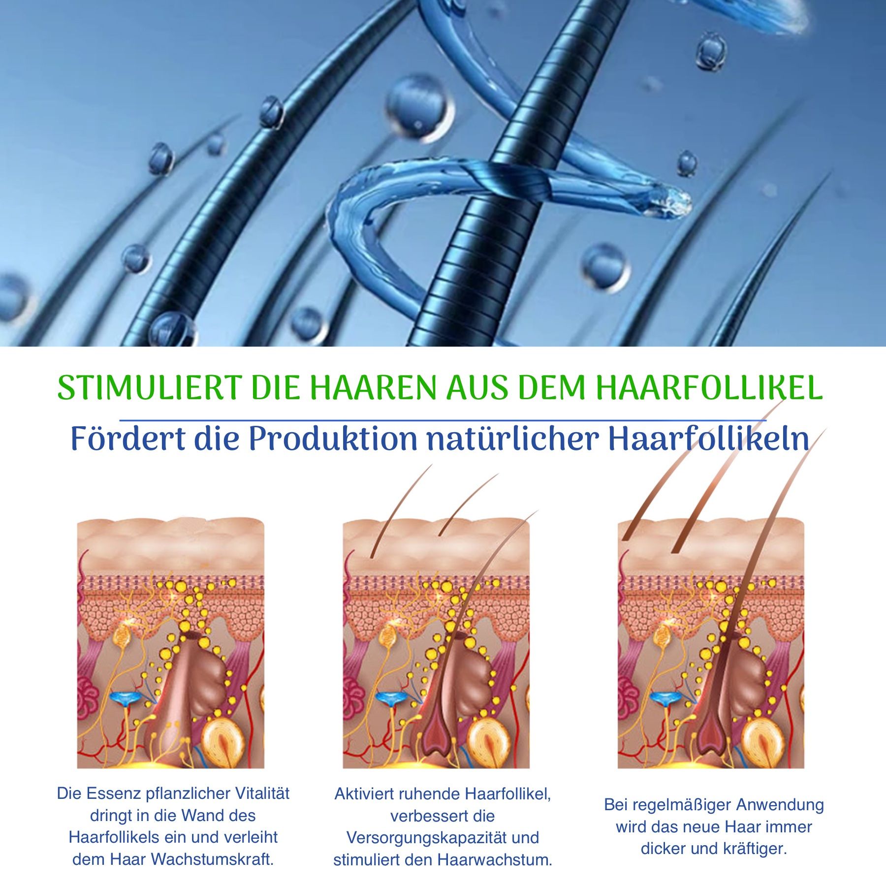 P-beauty Rosmarinöl Rizinus Haaröl für Haarpflege