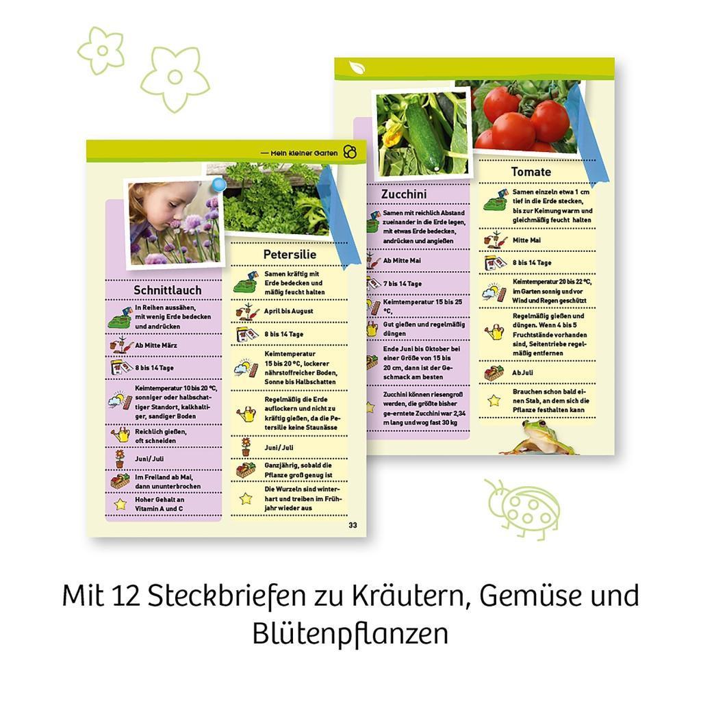 Experimentierkasten MEIN ERSTES GEWÄCHSHAUS