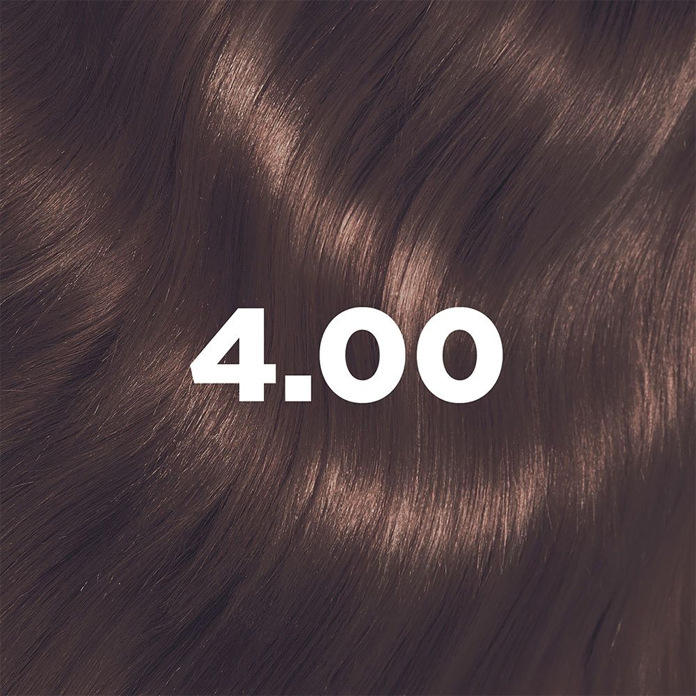 LA COULEUR ABSOLUE 4.00 KASTANIE