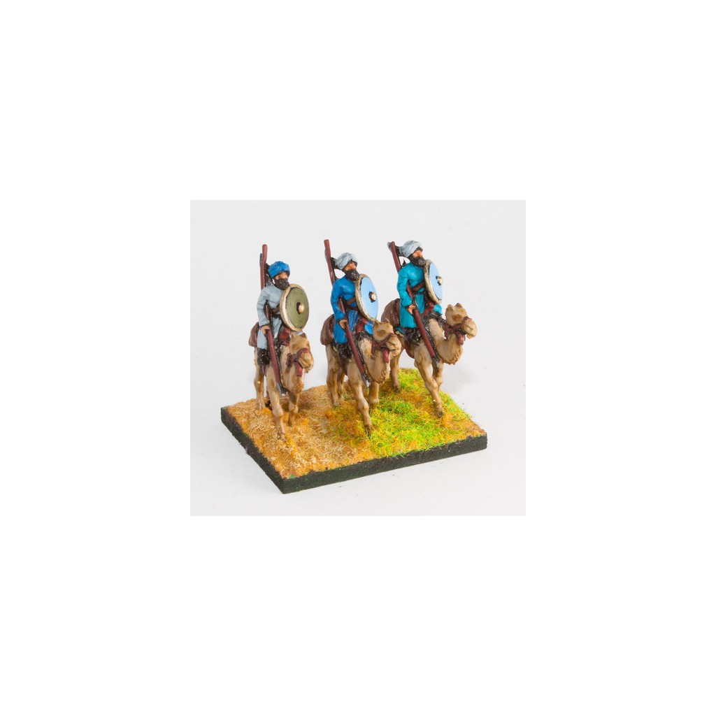 Lanciers Arabes sur Chameaux