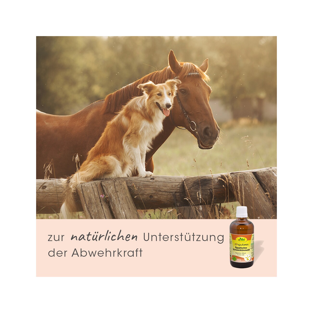 cdVet Singulares Ägyptisches Schwarzkümmelöl 100 ml