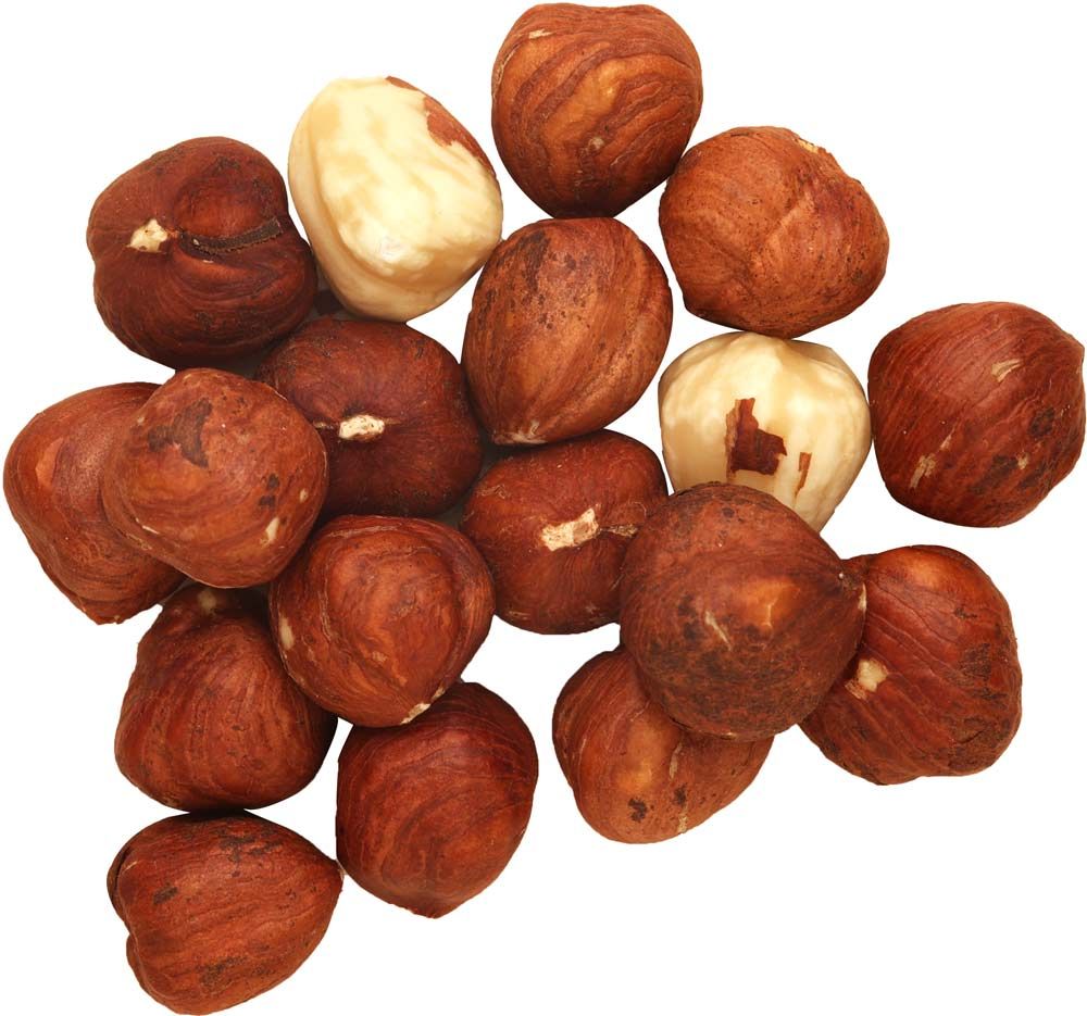 Sunkost Hasselnøtter 1 kg
