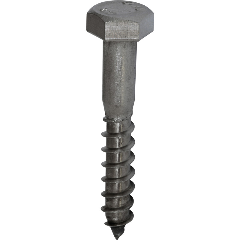 Houtdraadbouten RVS M8x50mm