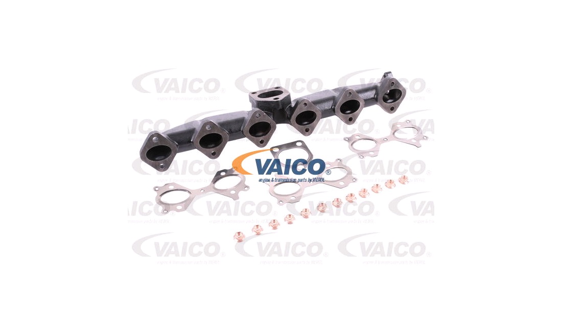Manifold