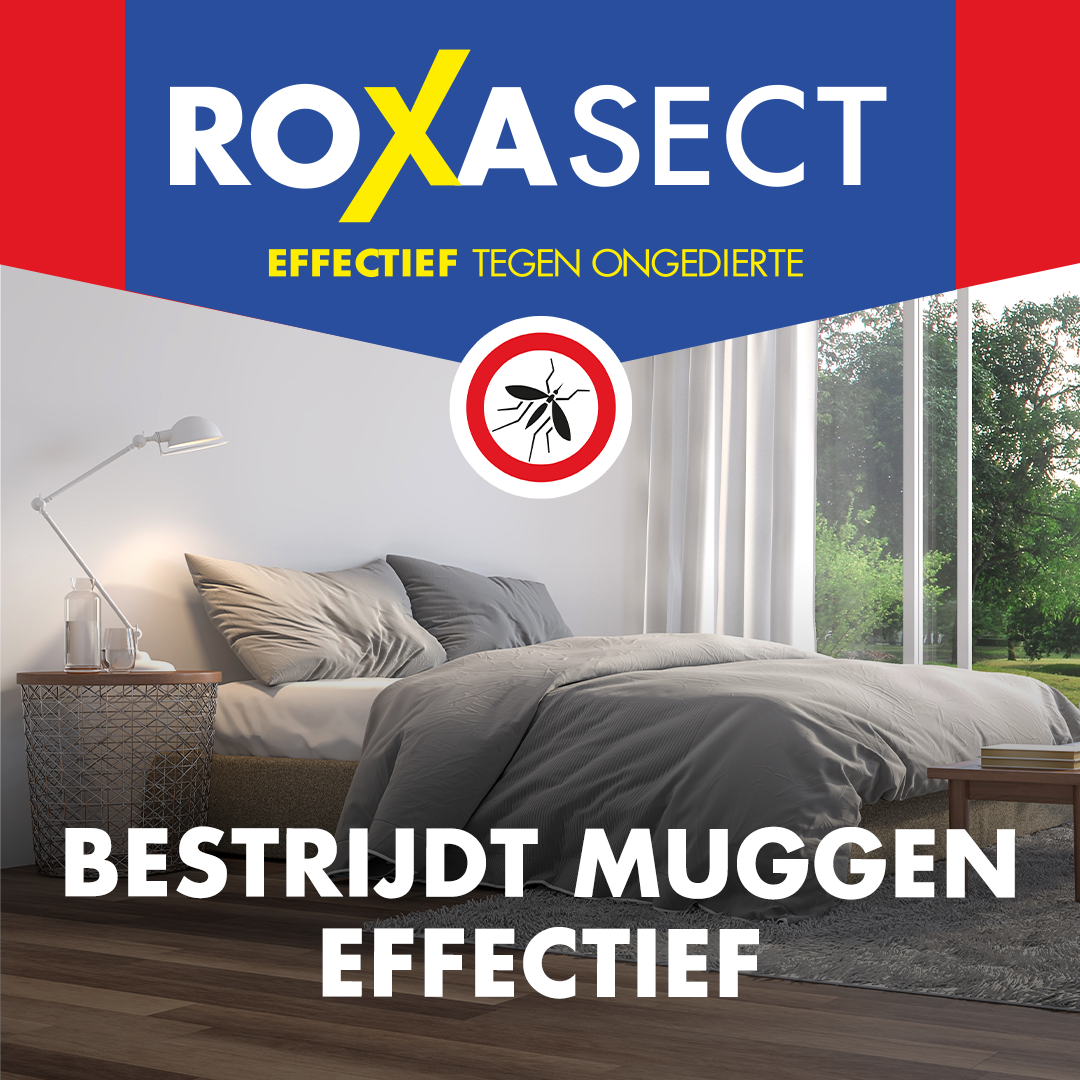 Roxasect Stekker tegen muggen op basis van prallethrin (1 stuk)