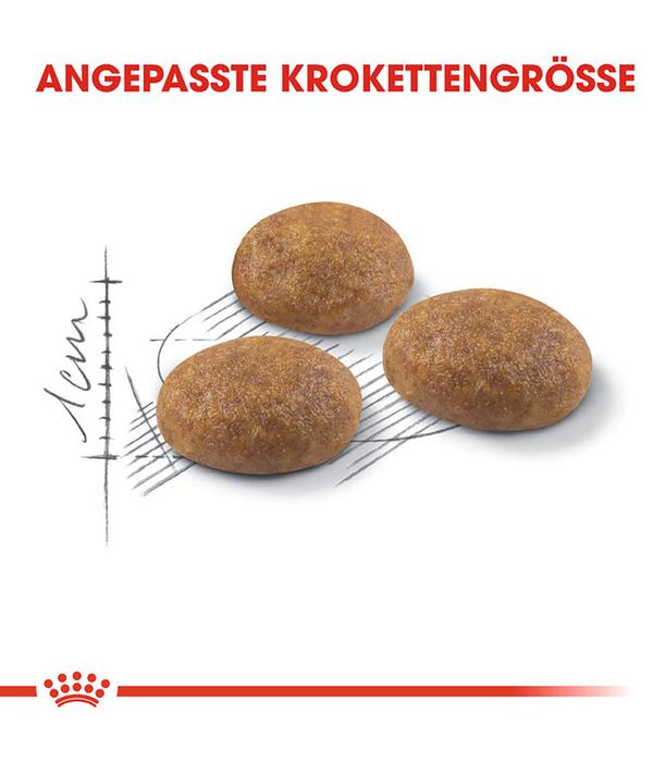 ROYAL CANIN® Trockenfutter für Katzen