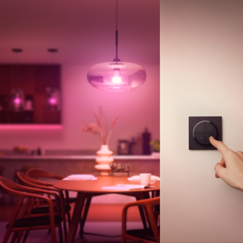 Philips Hue tap zwart