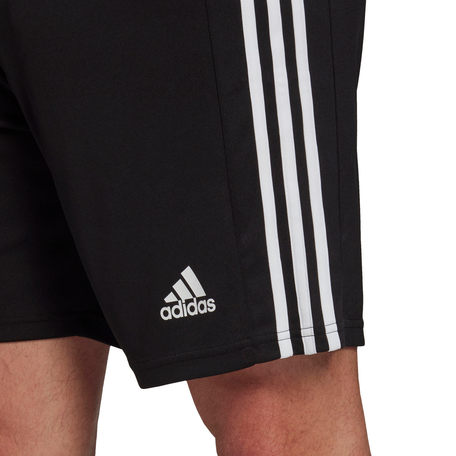 adidas Squadra Training Short