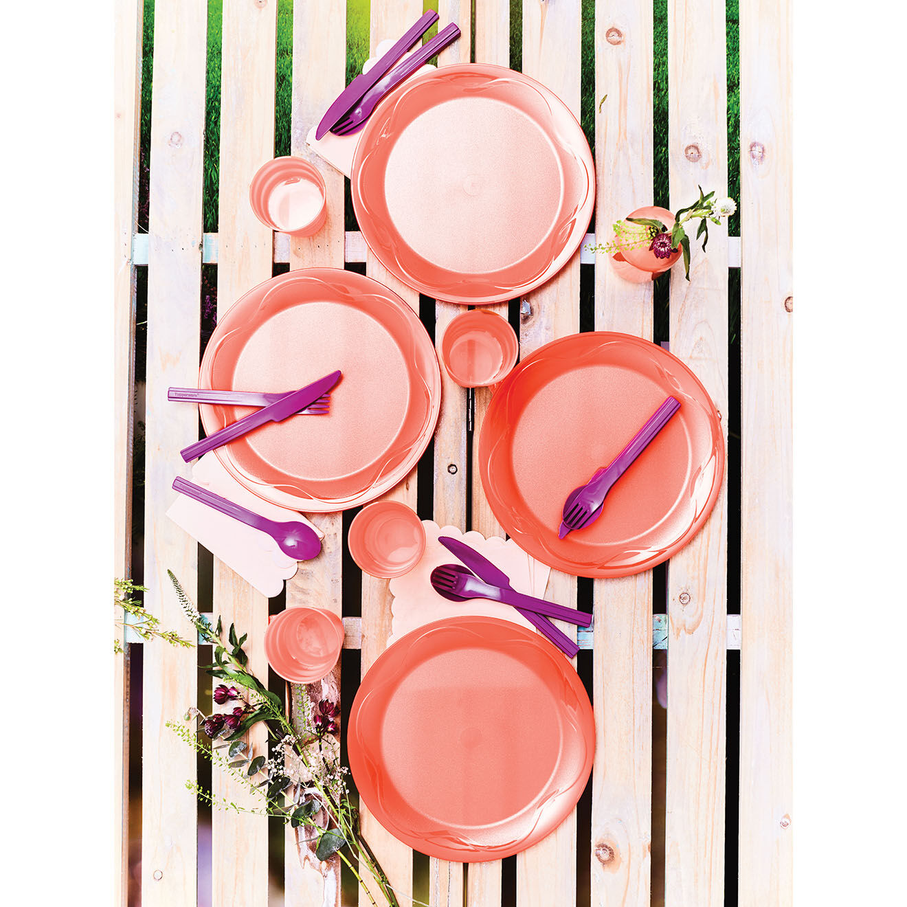 Tupperware 4 Assiettes Grand Air pastèque - D.28x3 cm