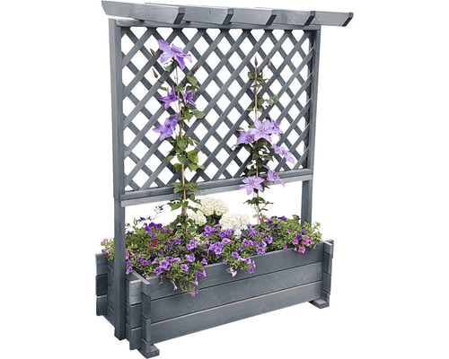 Houten trellisbak met pergola 112 x 65 x 139 cm grijs