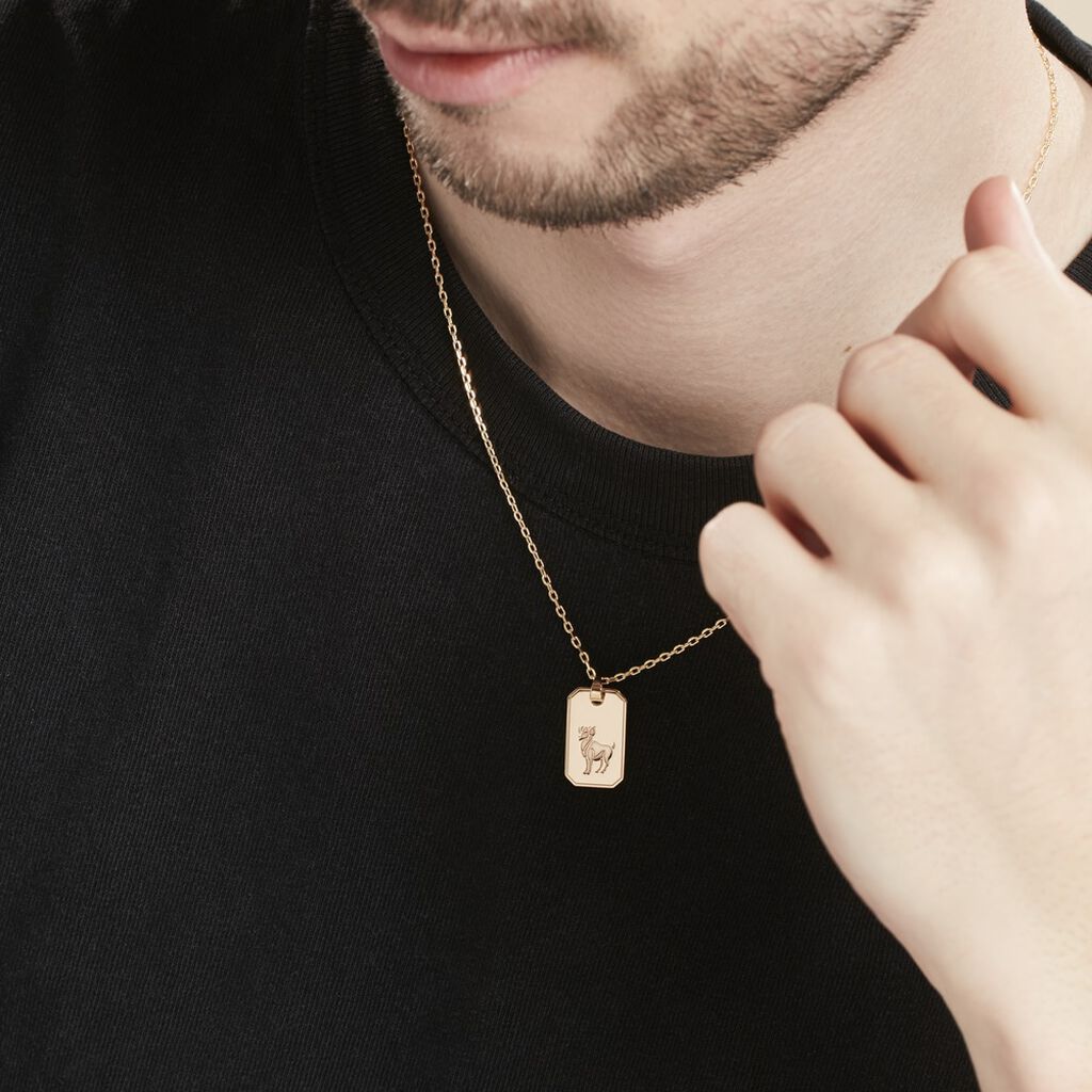 Collier Plaqué Or Quintien