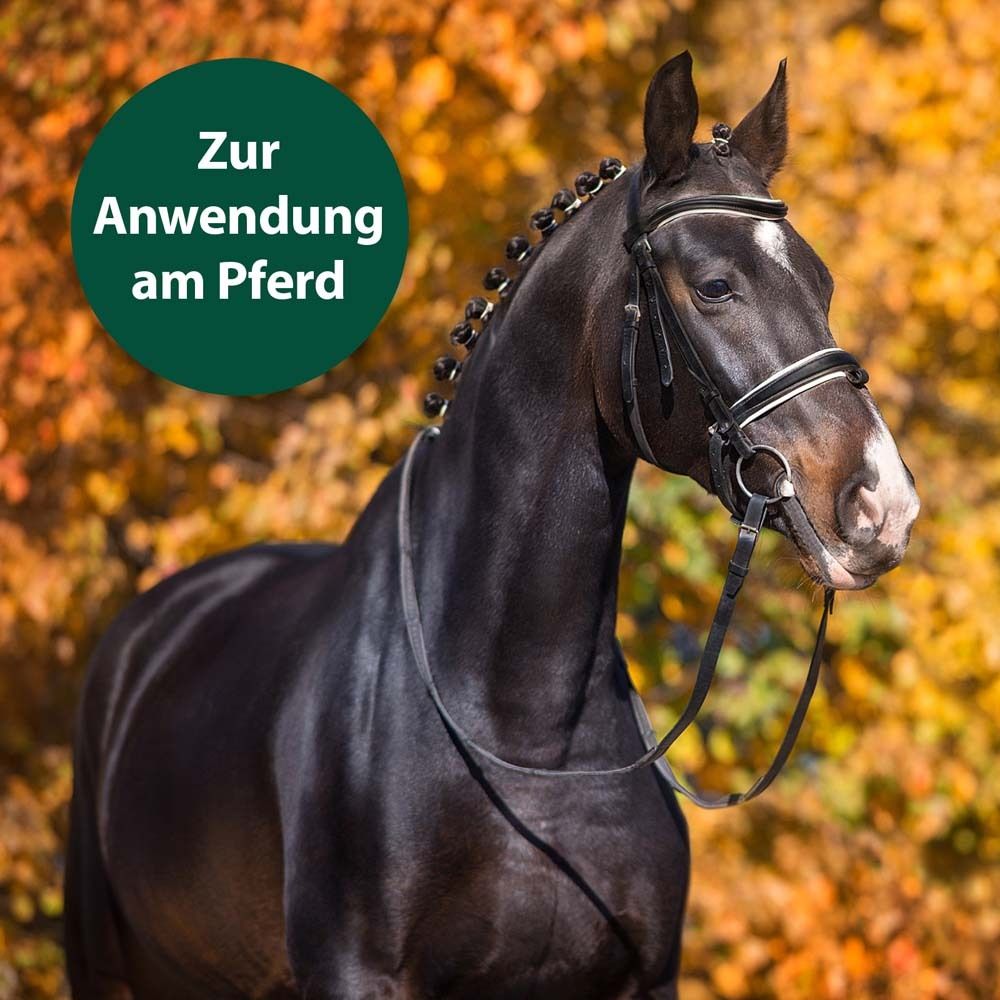 Equisept Fliegen- und Bremsenspray zur Anwendung am Pferd
