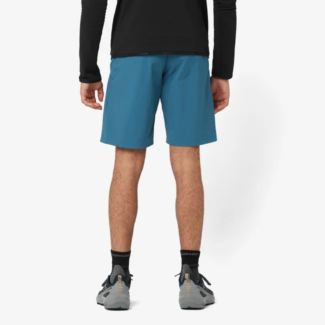 WAYFARER EASE  Shorts Herren