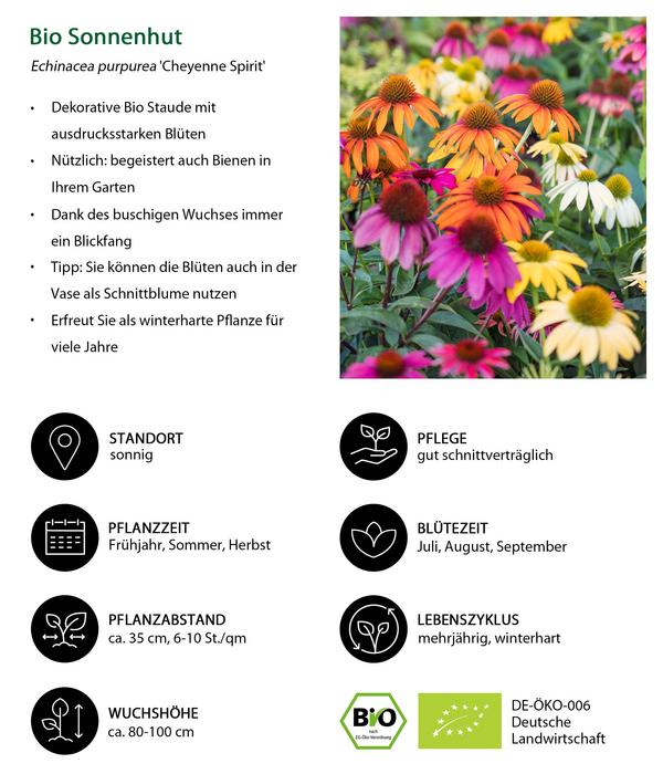 Bio Stauden-Set Blütenkollektion, Landlust