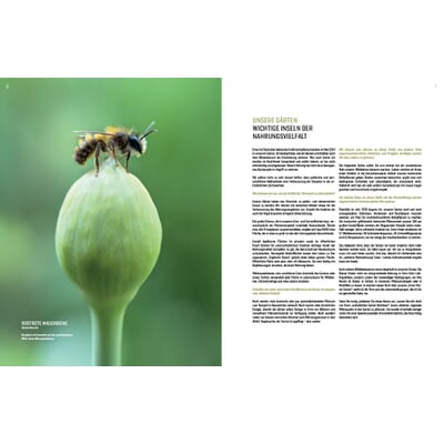 Wildbienenhelfer