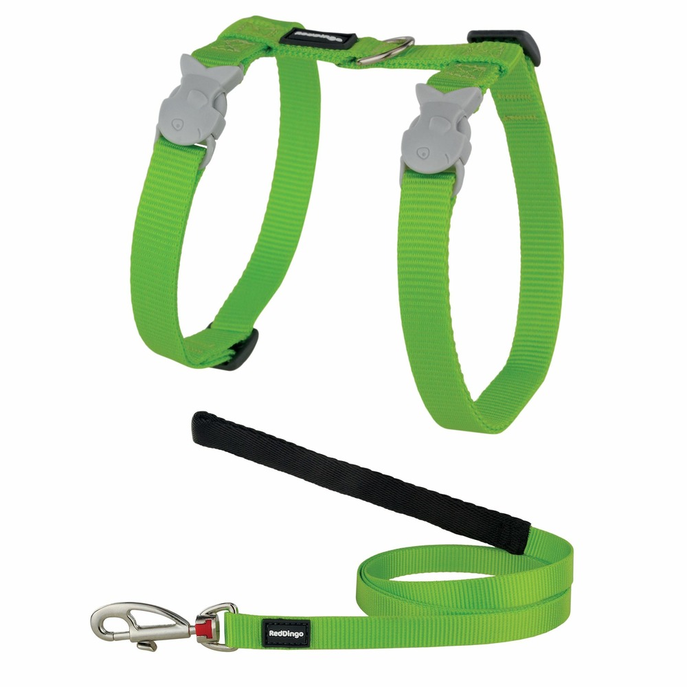 Ensemble harnais et laisse red dingo chats basic vert
