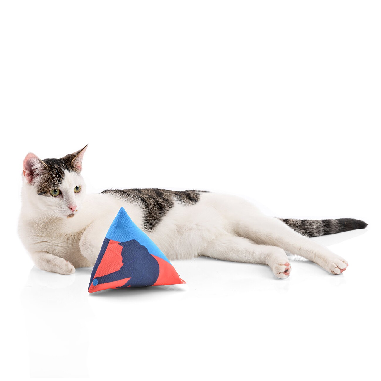 Canadian Cat Company Catnipspielzeug 6x Schmusepyramide Nordic 3-Color