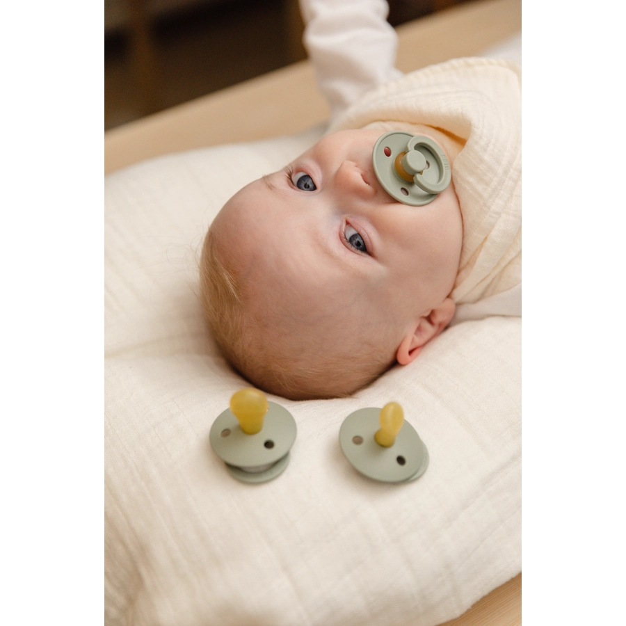 BIBS® Schnuller Try-it Colour 3 Pack  0-6 Monate Sage