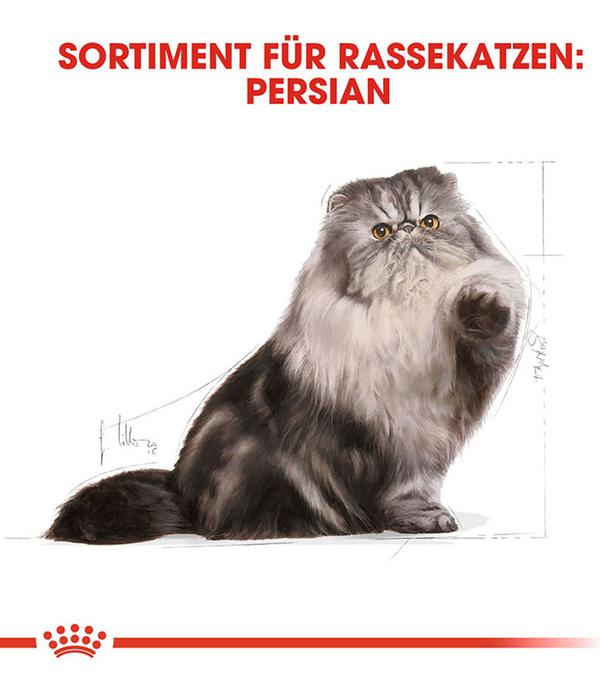 ROYAL CANIN® Trockenfutter für Katzen