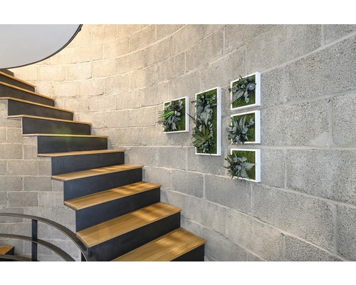 Plantenfoto jungle design lijst wit 140x40 cm