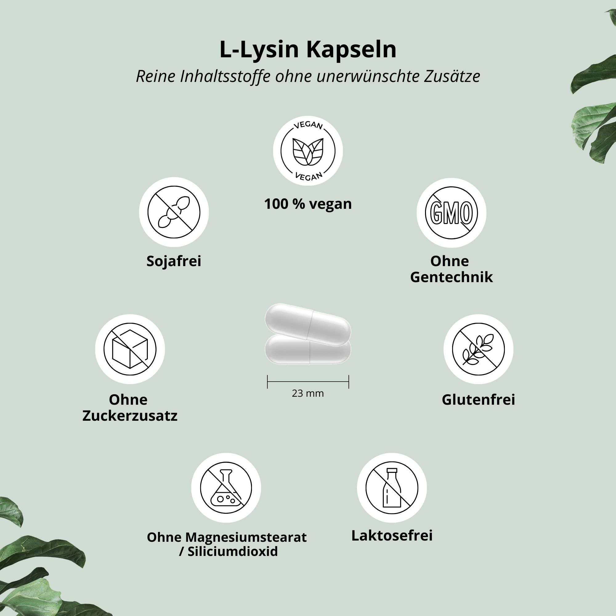 Nutri+ L-Lysin Kapseln - 120 Stück