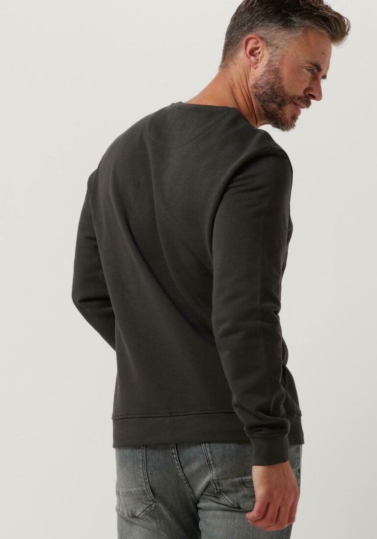 LYLE & SCOTT grijze lyle & scott trui crew neck sweatshirt