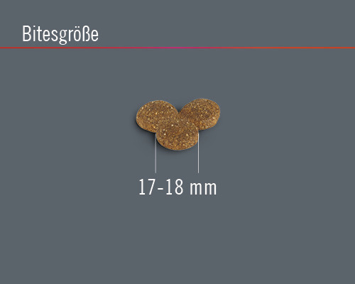 FINEVO Sensitive Dog Zalm droog hondenvoer, graanvrij, 3 kg