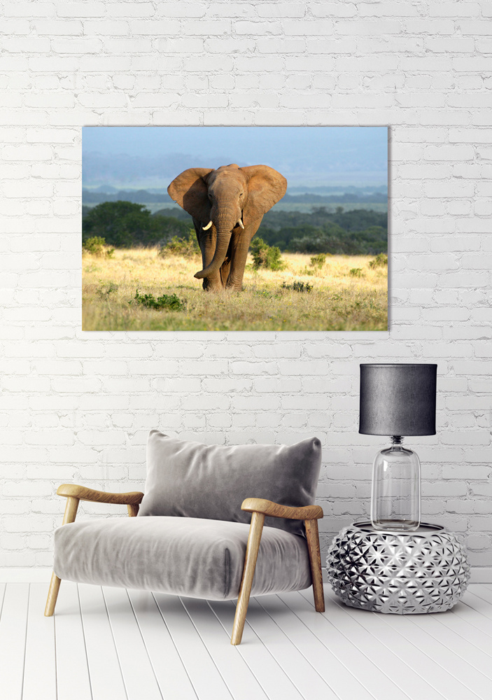 Akustikbild ELEFANT 80x120cm, 7kg