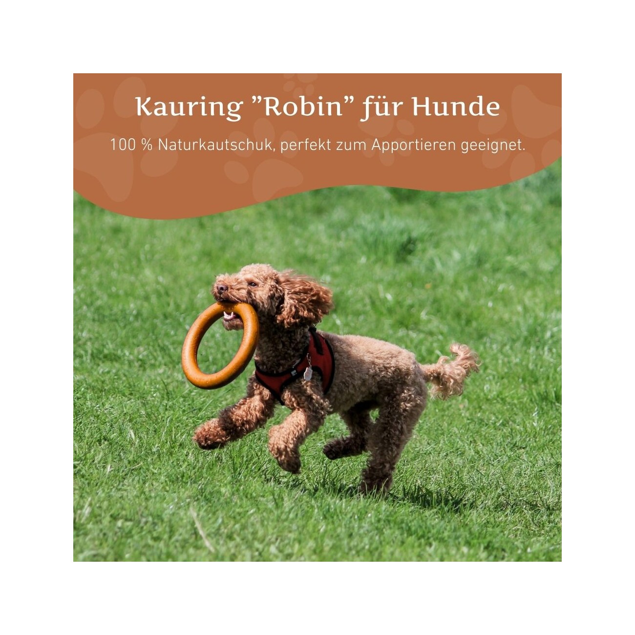 Wildfang Naturkautschuk Kauring - Kauring 