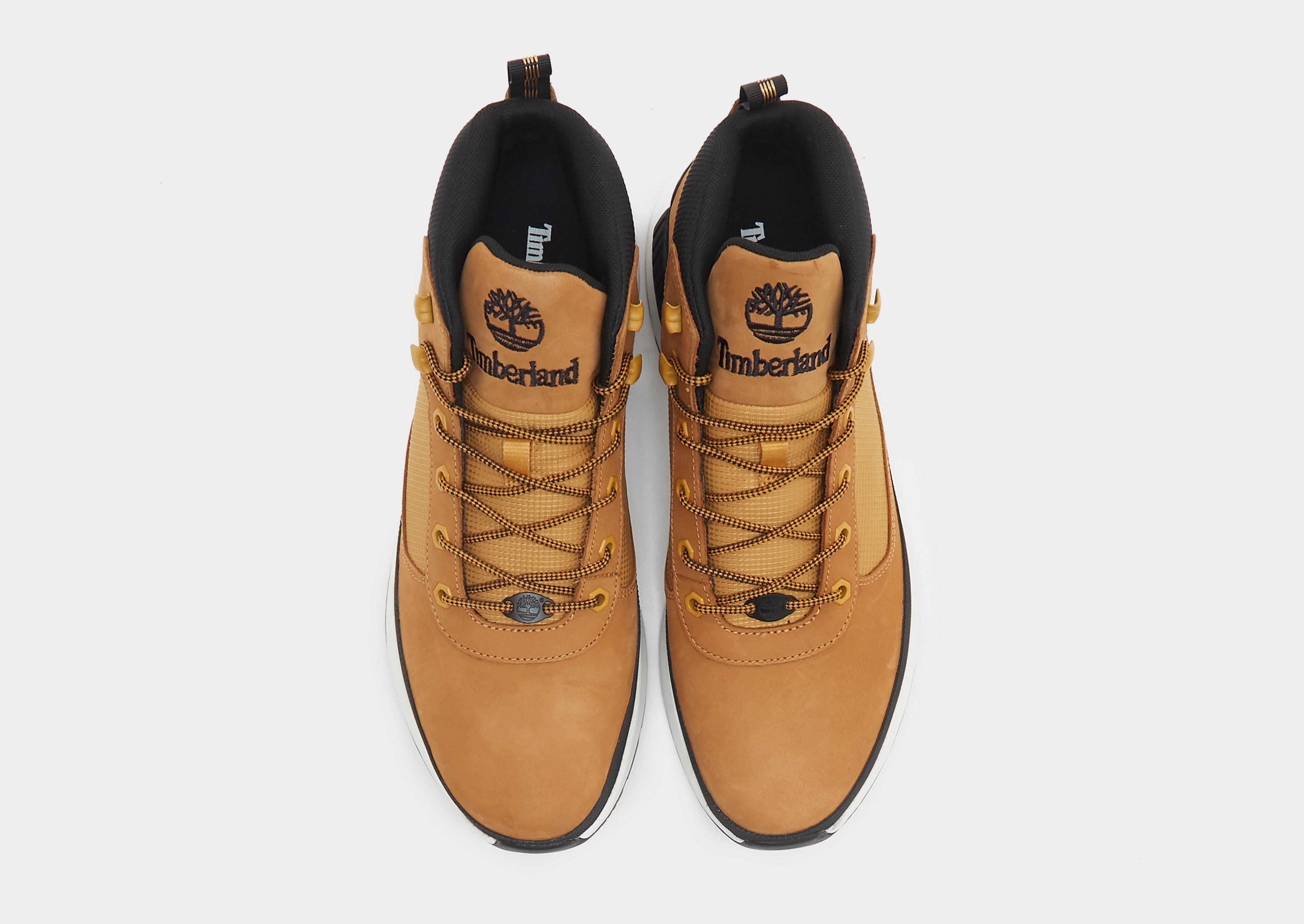 Timberland Field Trekker Homme