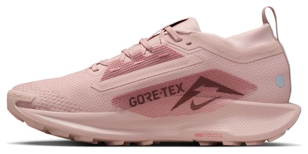 Chaussures Trail Nike Pegasus Trail 5 GTX Rose Femme
