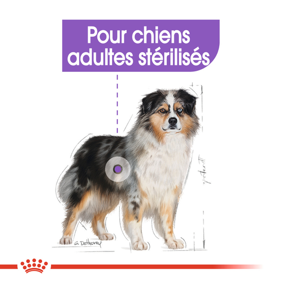 Croquettes chien stérilisé Medium Sterilised 12kg