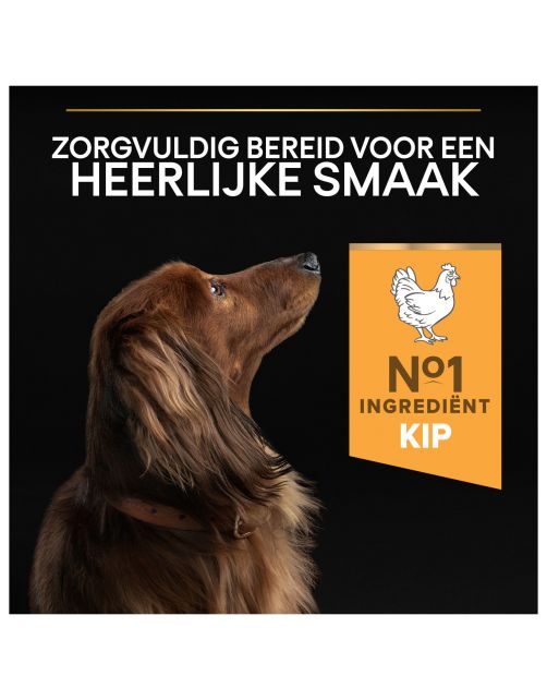 Pro Plan Dog Adult Small & Mini Breed Kip - Hondenvoer