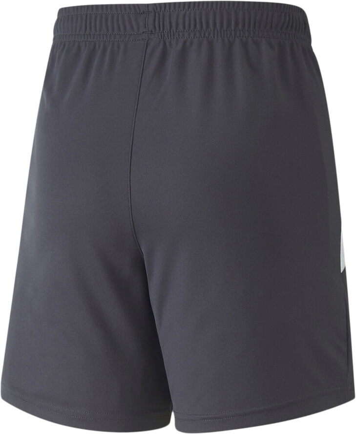 Puma Neymar Jr Futebol træningsshorts Grå