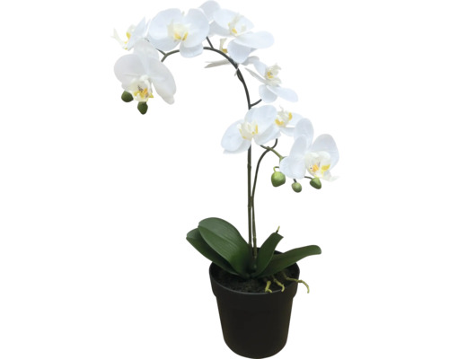 Kunstorchideeënplant, 54 cm hoog, wit