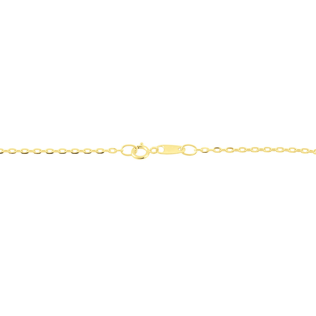 Chaîne Igoa Maille Forçat Diamantee Or Jaune